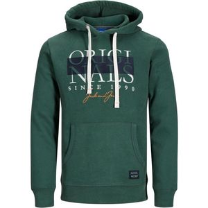 Jack & Jones Jack&Jones Blocks Sweat Hood Trekking Green GROEN S