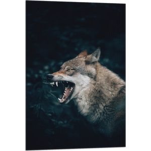 WallClassics - Vlag - Grote Boze Wolf - 60x90 cm Foto op Polyester Vlag