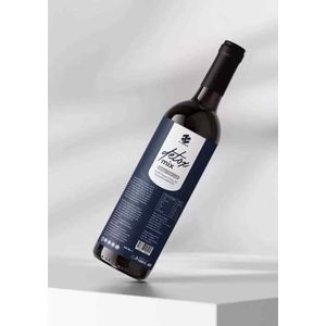 ZT Medical Detox Mix Azijn - Gefermenteerd met 100% Abrikozenpulp - Puur - Zonder toevoegingen - 1 fles van 250 ml