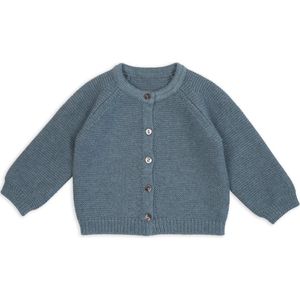 Lodger - Baby vest – Zacht merinowol & katoen – Blauw – Maat 56 – Sluit goed aan bij de hals