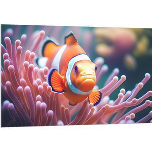 PVC Schuimplaat - Oranje Clownvis zwemmend tussen Roze Koraal - 120x80 cm Foto op PVC Schuimplaat (Met Ophangsysteem)