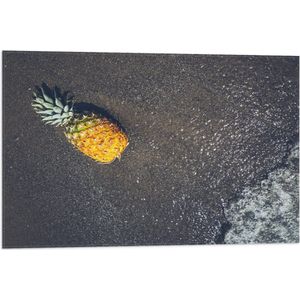 Vlag - Ananas op het Strand met Zee - 75x50 cm Foto op Polyester Vlag