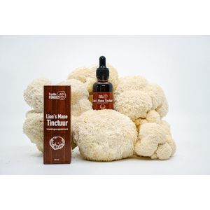 Lion’s Mane extract - Hericium Erinaceus Supplement - Fryslan Fungies pruikzwam tinctuur - Lions mane druppels (geen capsules)