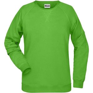 James and Nicholson Dames/dames Raglan Sweatshirt met lange mouwen (Kalk groen)