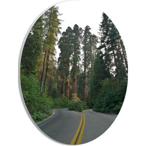 WallClassics - PVC Schuimplaat Ovaal - Gele Streep op Weg langs Hoge Groene Bomen - 21x28 cm Foto op Ovaal (Met Ophangsysteem)