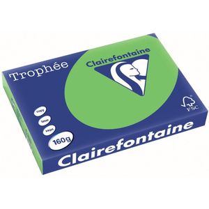 Clairefontaine - A3 - Gekleurd Papier - Grasgroen - 160 Grams - 250 Vel