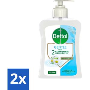 2 x Dettol - Handzeep - Gentle - Kamille & Katoenbloesem - 250 ml - Handzeep - Antibacterieel - Kamille - Katoenbloesem - Milde Reiniging