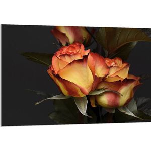 PVC Schuimplaat- Roos - Bladeren - Bloem - Plant - Rood - Oranje - Geel - 120x80 cm Foto op PVC Schuimplaat