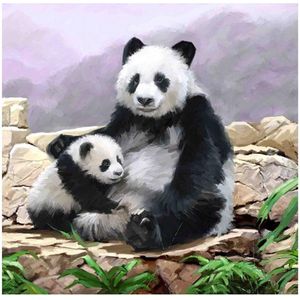 Craft Buddy Crystal Art Kaart Pandaberen 18x18 cm