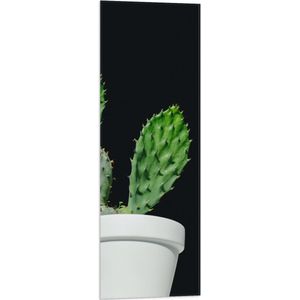 Vlag - Cactus - Plant - Bloempot - 30x90 cm Foto op Polyester Vlag
