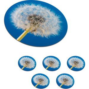 Onderzetters voor glazen - Rond - Paardenbloem - Bloem - Terras - 10x10 cm - Glasonderzetters - 6 stuks