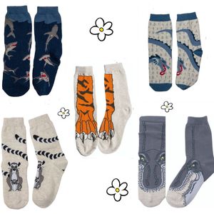 Nature Planet -kindersokken - set van 5 paar sokken - haai - ringstaartmaki - t-rex - tijger - draak (100% Oeko-tex gecertificeerd) maat 29-34