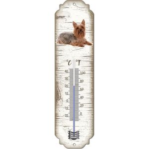 Thermometer: Australische Silky Terier | Hondenras | Temperatuur binnen en buiten | -25 tot +45C