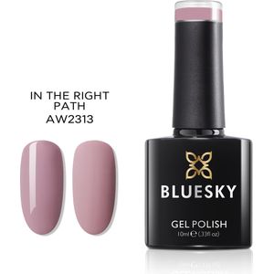 Bluesky Gellak AW2313 In the right path