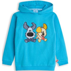 Woezel & Pip Sweater jongens - Aquarius - Maat 98/104 - Jongens trui