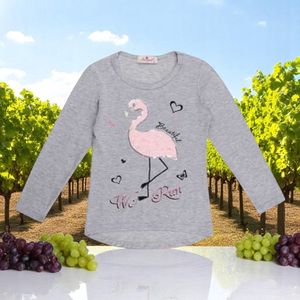 Longsleeve strak getailleeerd grijs flamingo we run 158/164