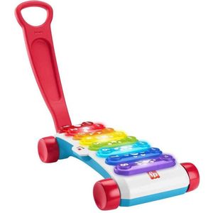 FISHER PRICE Fisher-Price Gigantische Xilofoon