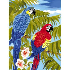 Schilderen op nummer - Paint by numbers - Blauwe en rode papegaai op tak 22x30cm - Schilderen op nummer volwassenen - Paint by numbers volwassenen