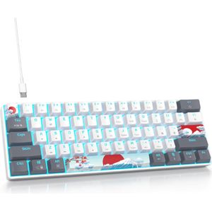 60% Mechanisch Toetsenbord Bedraad RGB Gaming Toetsenbord 60 Procent Minimalistische Stijl Achtergrondverlichting Mini Witte Toetsenbord met Rode Switches Amerikaanse QWERTY voor Kantoor Gamer