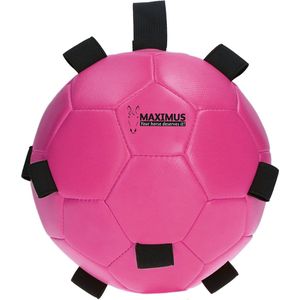 Maximus Fun Play Ball Pink