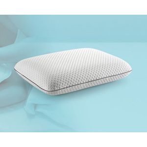 Visco Point® - Classic Pillow Traagschuim Kussen - Pro Series VP 9039 | Orthopedisch & Ergonomisch Hoofdkussen Nasa Memory Foam Voor Nek En Rugklachten