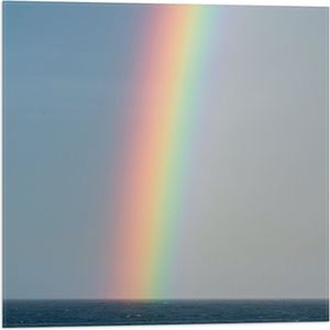 WallClassics - Vlag - Heldere Regenboog Landend in Zeewater - 50x50 cm Foto op Polyester Vlag