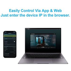 Mini versterker printplaat 2.1 met WiFi en Bluetooth - 50W x 2 + 100W subwoofer voor DIY audio