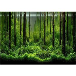 Fish Tank Achtergrond Landschap - Waterdichte Poster PVC Lijm - Verwijdering en Vervanging - 61 * 30cm .