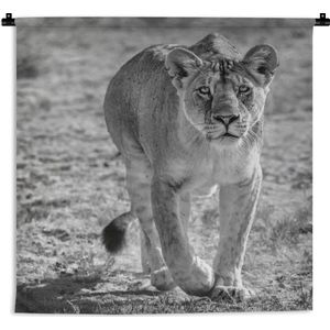 Wandkleed Roofdieren - Starende leeuwin - zwart-wit Wandkleed katoen 180x180 cm - Wandtapijt met foto