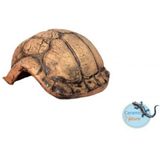 CeramicNature Grot Schildpad - Maat: Small