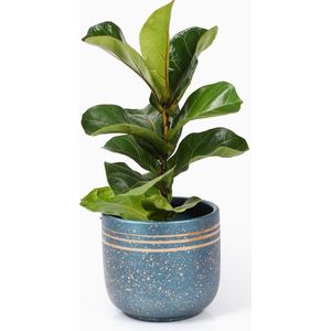 Bloempotten Binnen - Keramiek - Gouden Rand - Bloempot buiten - Afvoergat 24 cm - Turquoise– Groot