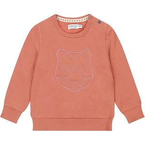 Dirkje Jongens Trui - Rust