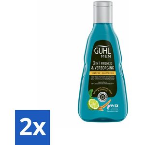 Guhl - 3-in-1 Shampoo - Freshness & Care Man - 250 ml - Voordeelverpakking - 2 stuks