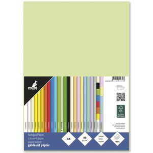 Kangaro papier - formaat A4 - 80 grams - lichtgroen - pak 100 vel - K-0041F280