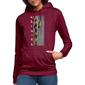 Friends Through The Door Hoodie Dames