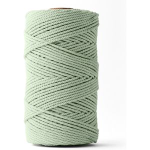 Ledent macramé touw (3mm, 120M), dubbel getwist - 100% geregenereerd katoenkoord - Macramé touw in het eucalyptus om mee te knutselen.