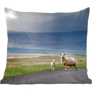 Sierkussen - Schaap Lam Storm - Multicolor - 50 Cm X 50 Cm