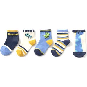 5 paar New born Baby sokken - Set babysokjes - 0-6 maanden - Multipack - Kraamcadeau voor Jongen of Meisje - Babyshower Cadeau - Kraammand