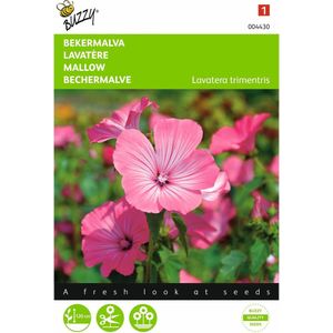 2 stuks - Buzzy - Lavatera trimestris Rose Rood