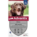 ADVANTIX 4 antiparasitaire pipetten - Voor grote honden van meer dan 25 kg