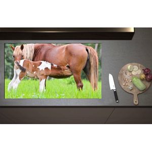 Inductieplaat Beschermer - Bruin met Wit Gevlekt Veulentje Drinkend bij Moeder in het Grasveld - 95x55 cm - 2 mm Dik - Inductie Beschermer - Bescherming Inductiekookplaat - Kookplaat Beschermer van Zwart Vinyl