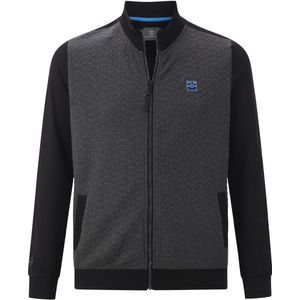 Jan Vanderstorm - LARSHEIM - Sweatvest - Grijs