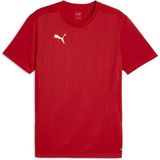 PUMA Unisex Teamfinal Training Jersey Performance Tee