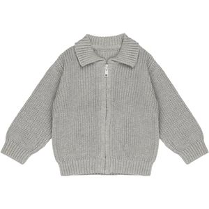 Frogs and Dogs - Rits Trui Plat Gebreid Baby | Grijs Violet - Katoen - Maat 74