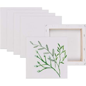 Goodivery ® Hoogwaardige Set van 6 Canvas Frames voor Diverse Schildertechnieken en Creatieve Projecten