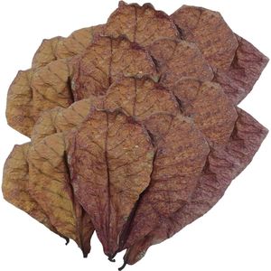Almond Leaves for Aquarium - Betta Shrimp Catappa Leaves for PH Balance - Water Conditioner for Turtle Tank Fish Tank - Indian Almond Leaves .
