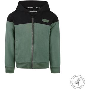 Koko Noko - Bio Cotton - Sweater met capuchon en rits - Jongens - Dark green - Maat 92