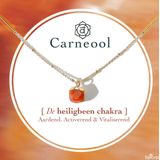 Bixorp Gems Heiligbeen Chakra Ketting Carneool + 18 Karaat Verguld Goud & Roestvrij Staal - 36cm + 8cm verstelbaar - Sacral Chakra