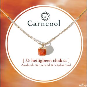 Bixorp Gems Heiligbeen Chakra Ketting Carneool + 18 Karaat Verguld Goud & Roestvrij Staal - 36cm + 8cm verstelbaar - Sacral Chakra