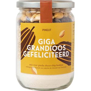 Pineut ® Koekjes Chocolade & Pinda - Koekjes bakken - Bakpakket Koek - DIY Pakket - Chocolade Cadeau - Bakmix in Pot - Bakken met Kinderen - Chocola - Gezellig Genieten